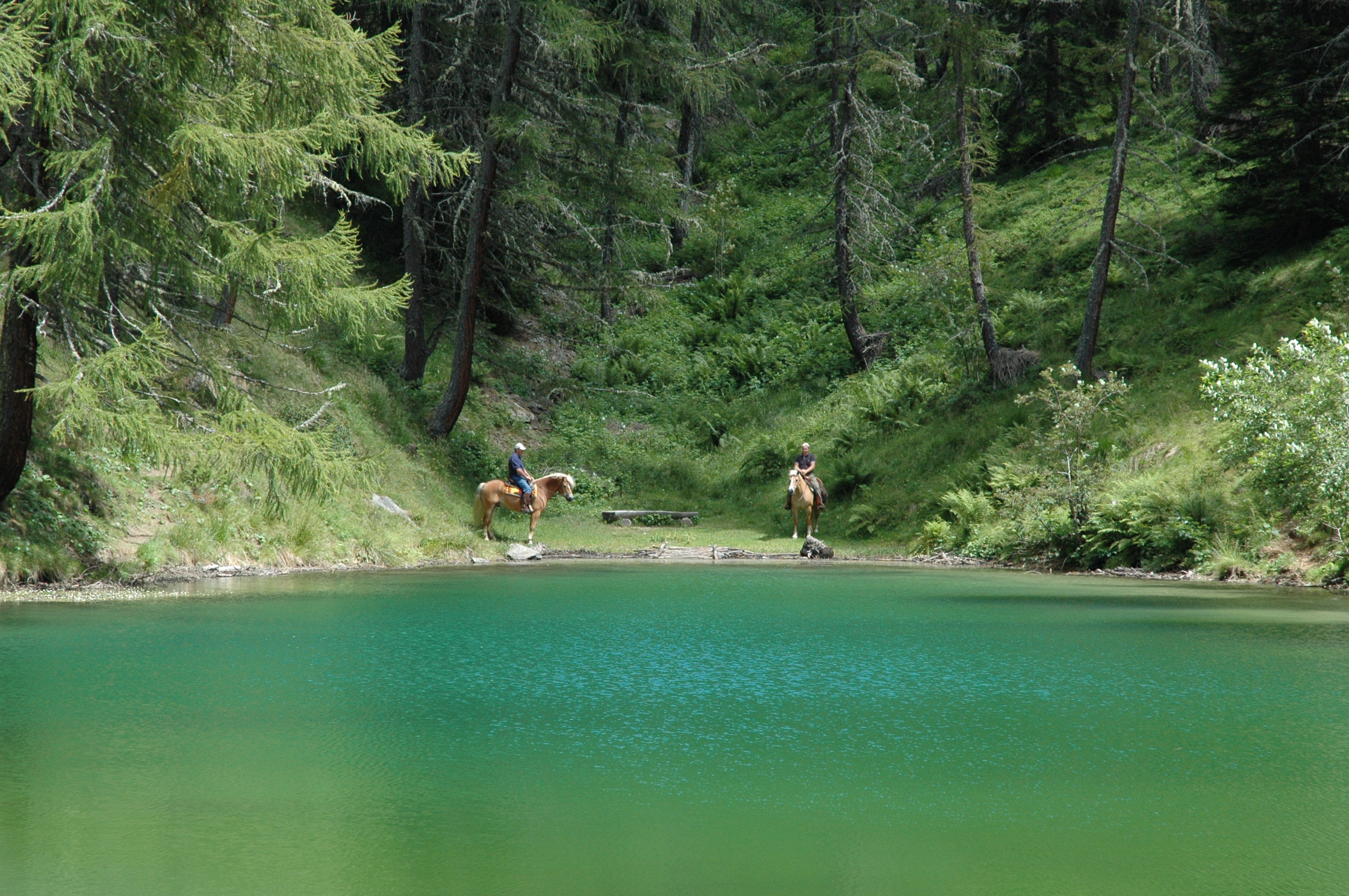 paardrijden valsugana in de mooie natuur