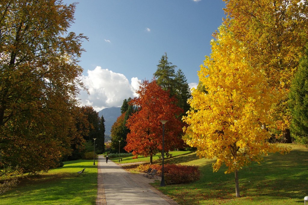 parco delle terme di levico autunno - foto parco delle terme (Autunno in Valsugana e Lagorai)